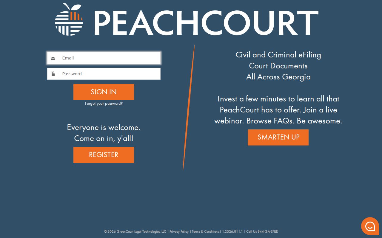 Fannin County case search PeachCourt login