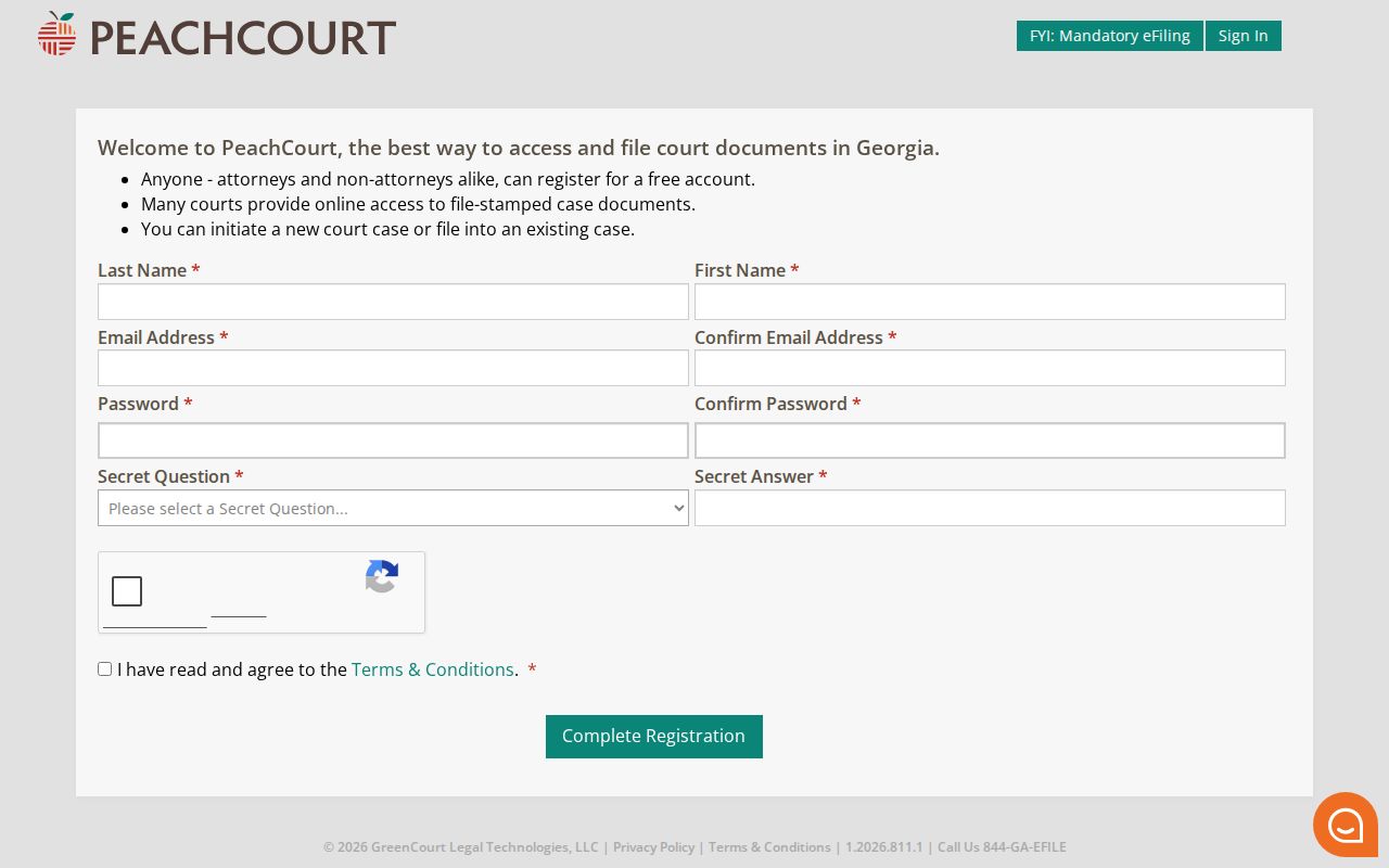 Fannin County case search registration fields