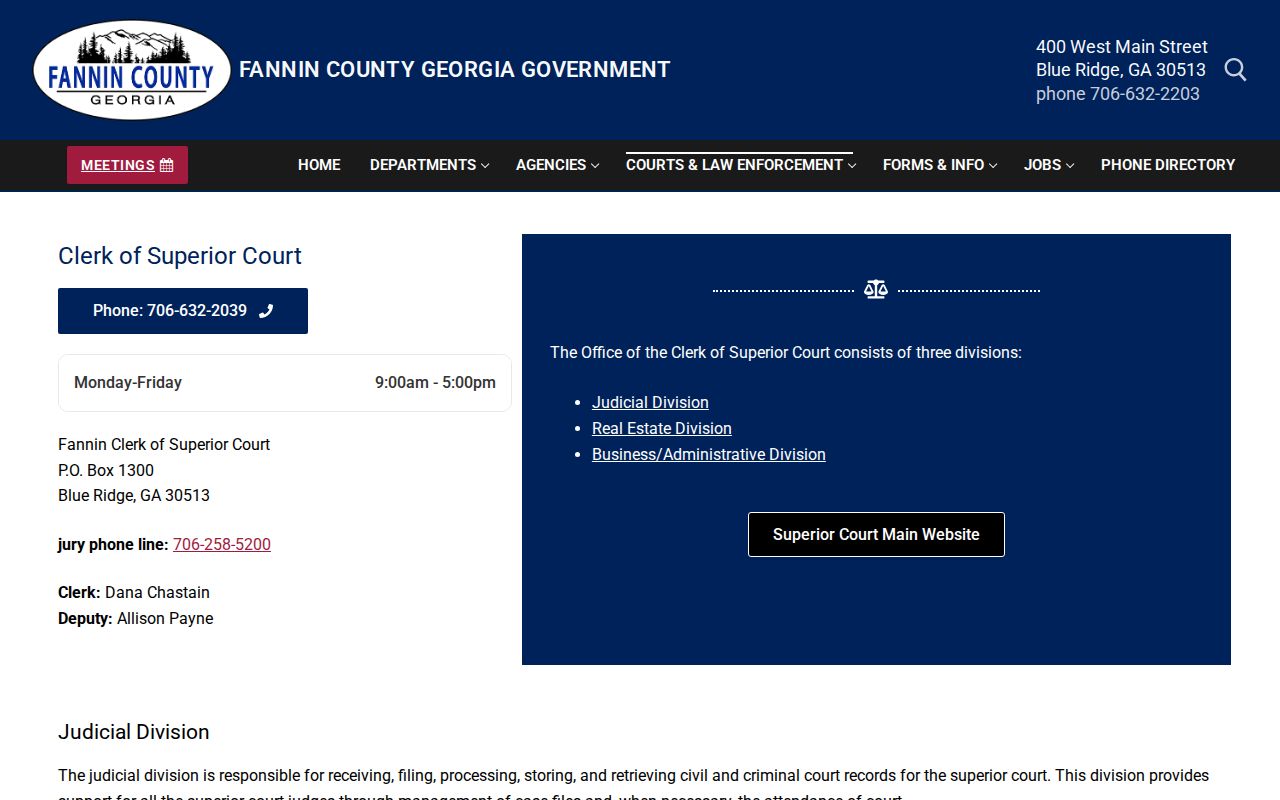Fannin County criminal docket clerk records page