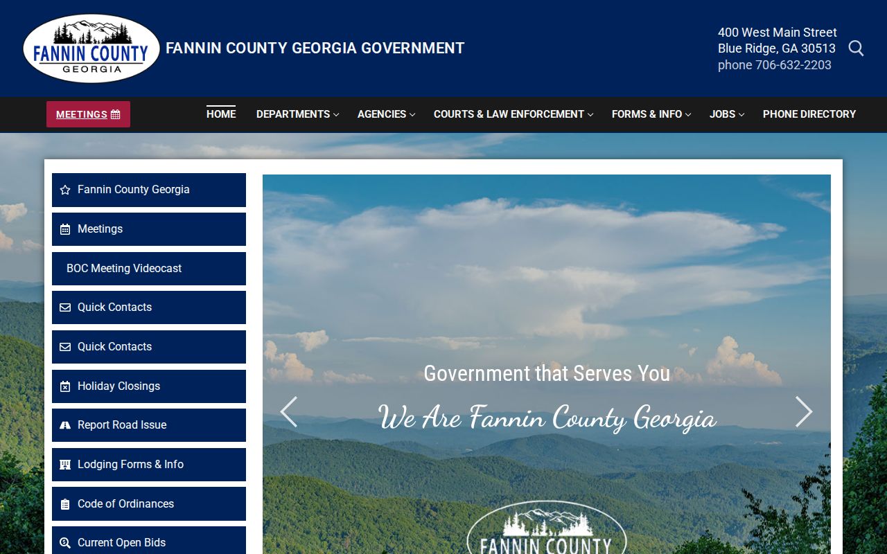 Fannin County court docket courthouse and government navigation